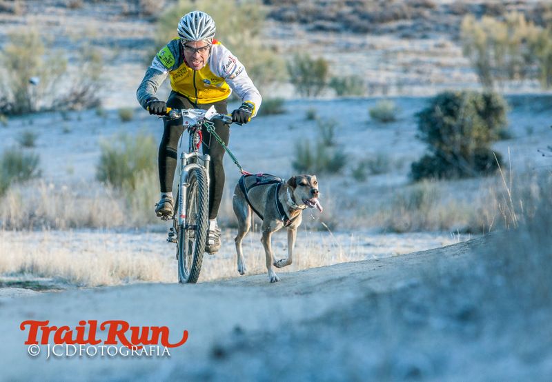 Campeonato de España de Mushing 2017