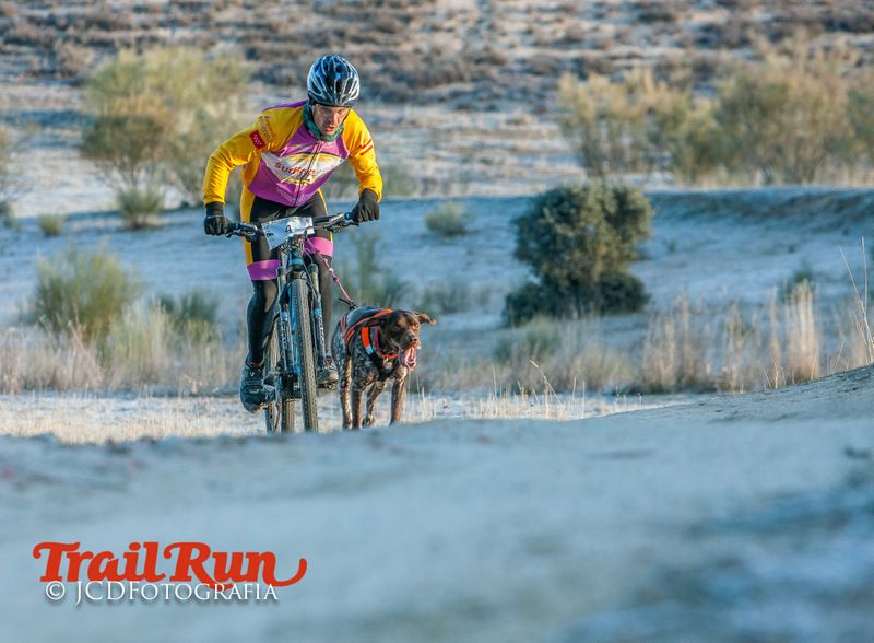 Campeonato de España de Mushing 2017