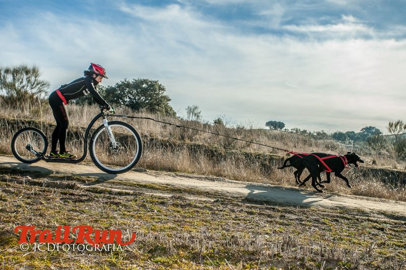 Campeonato de España de Mushing 2017