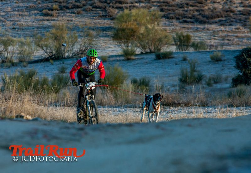 Campeonato de España de Mushing 2017