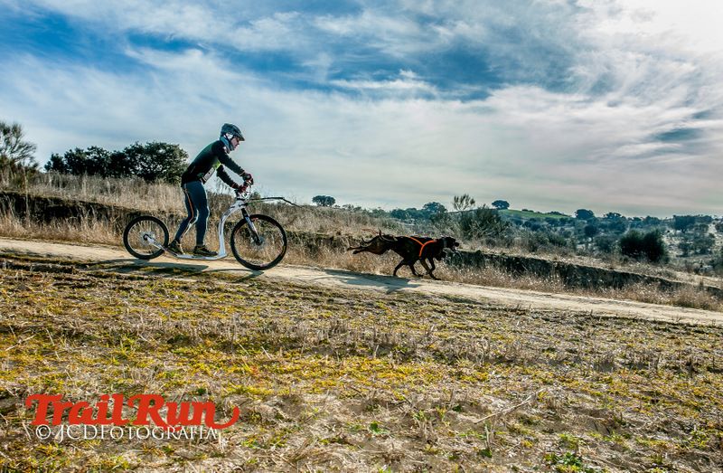 Campeonato de España de Mushing 2017