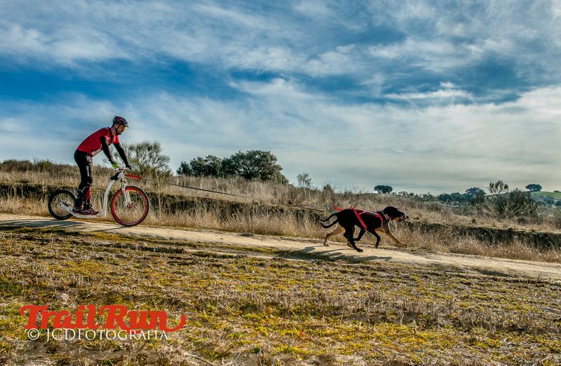 Campeonato de España de Mushing 2017