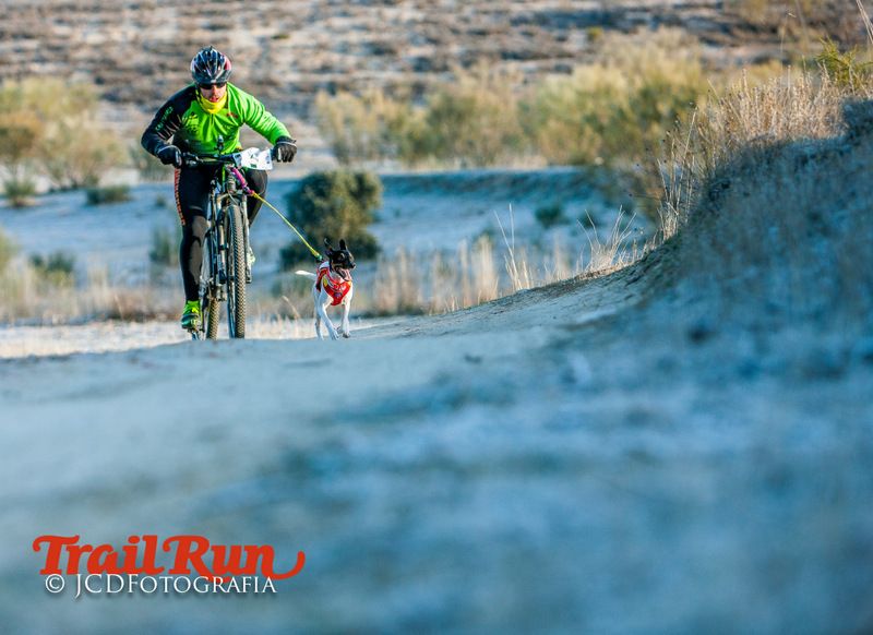 Campeonato de España de Mushing 2017
