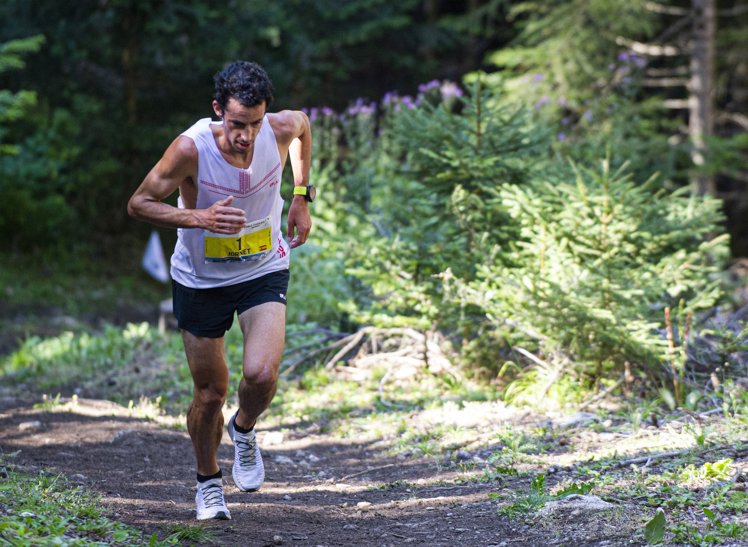 Kilian Jornet defiende un turismo de proximidad o de largas estancias (EFE).