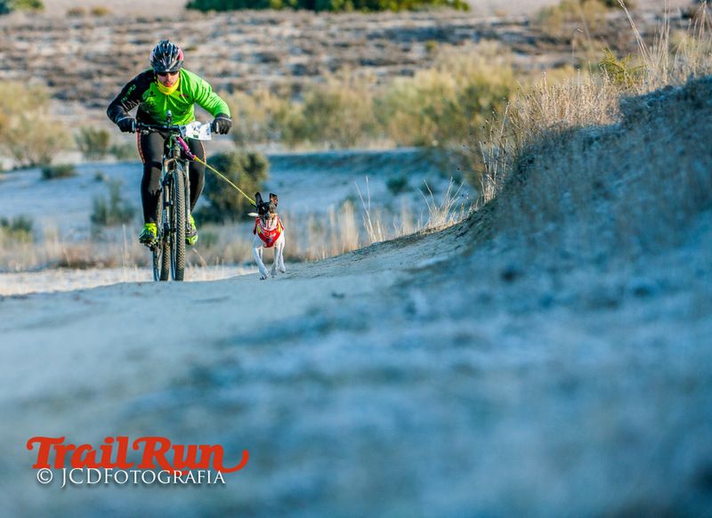 Campeonato de España de Mushing 2017