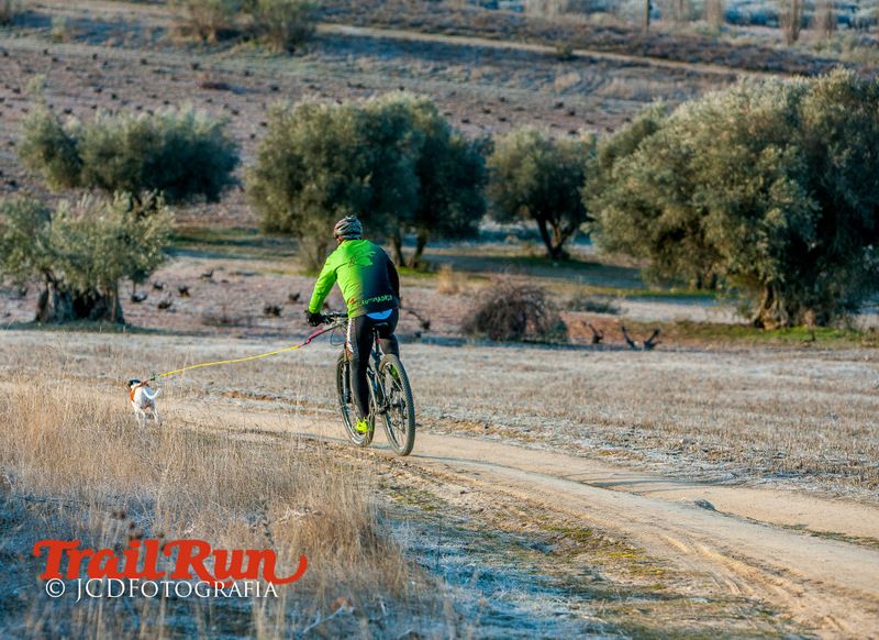 Campeonato de España de Mushing 2017