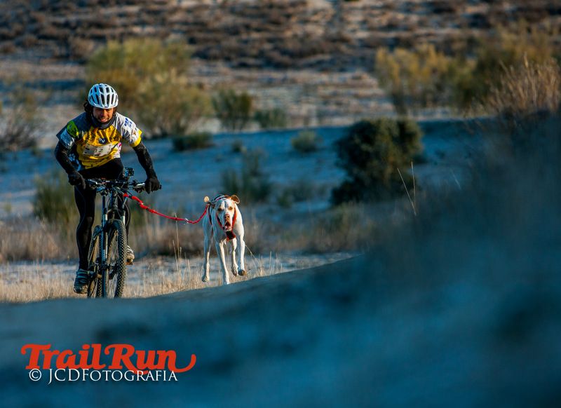 Campeonato de España de Mushing 2017