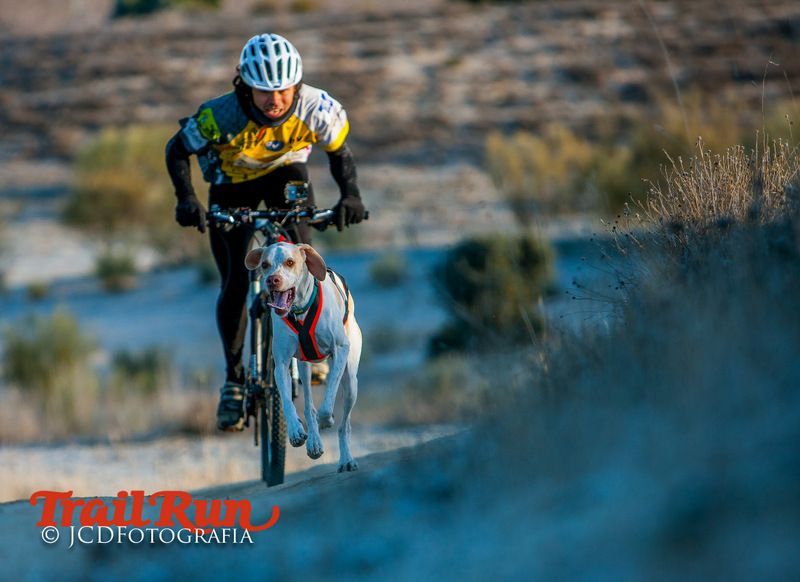 Campeonato de España de Mushing 2017