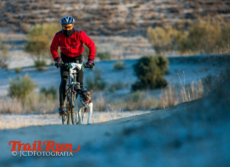 Campeonato de España de Mushing 2017