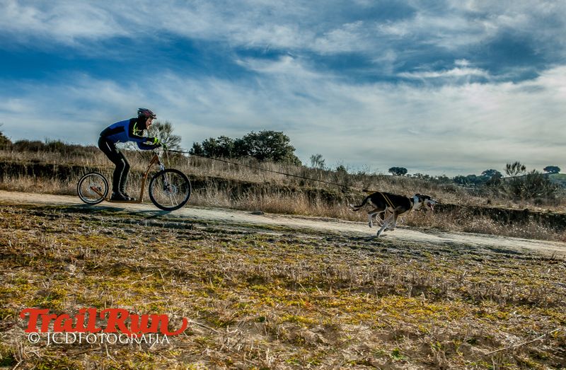 Campeonato de España de Mushing 2017