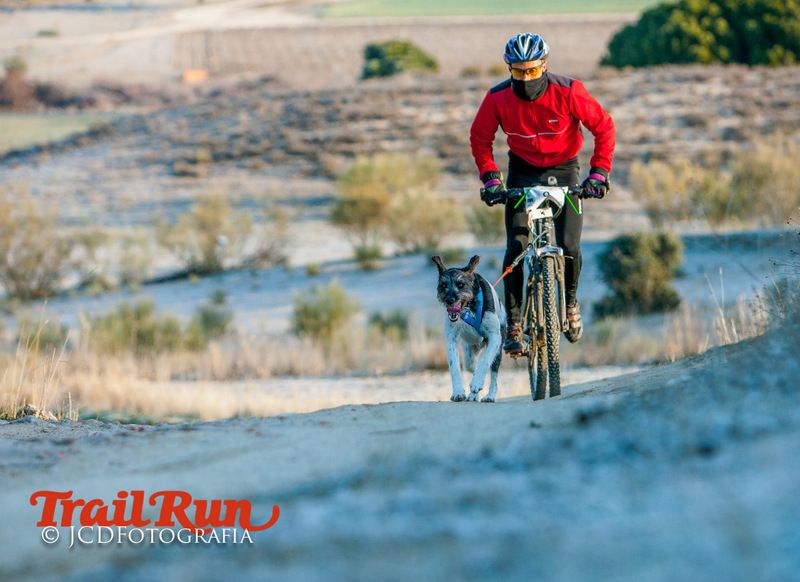 Campeonato de España de Mushing 2017