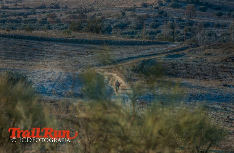 Campeonato de España de Mushing 2017