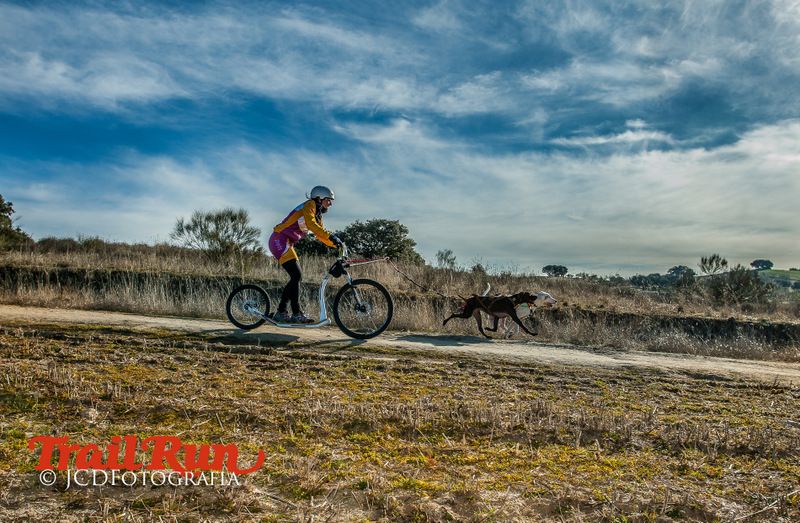 Campeonato de España de Mushing 2017