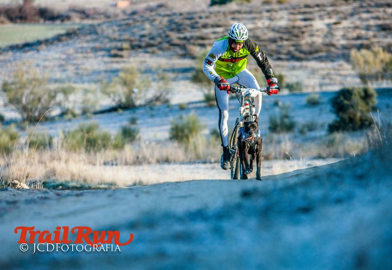 Campeonato de España de Mushing 2017