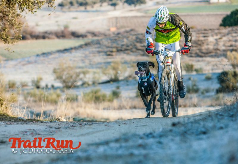 Campeonato de España de Mushing 2017