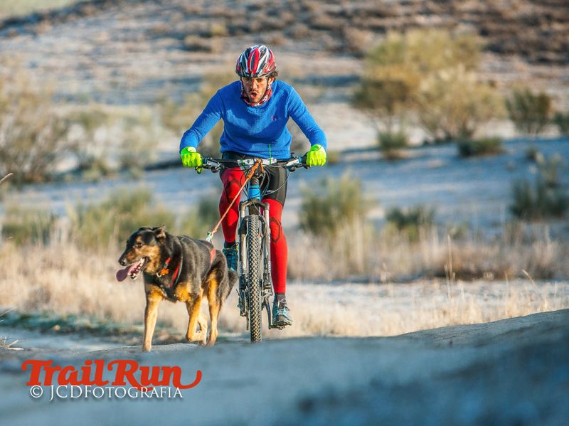 Campeonato de España de Mushing 2017