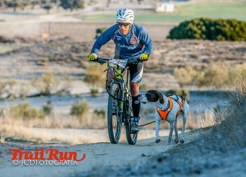 Campeonato de España de Mushing 2017