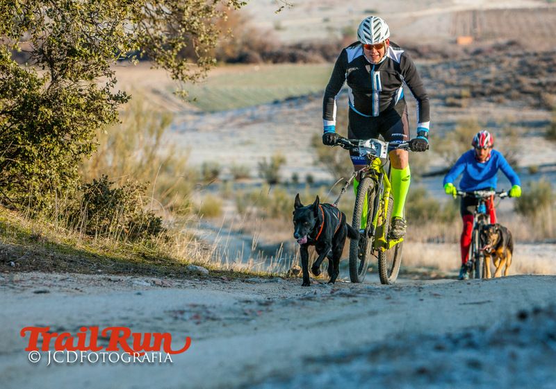 Campeonato de España de Mushing 2017