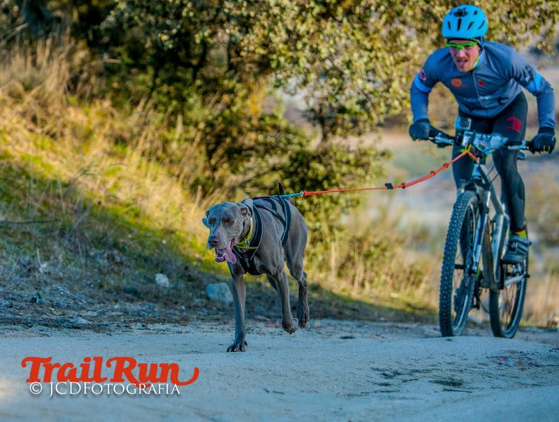 Campeonato de España de Mushing 2017