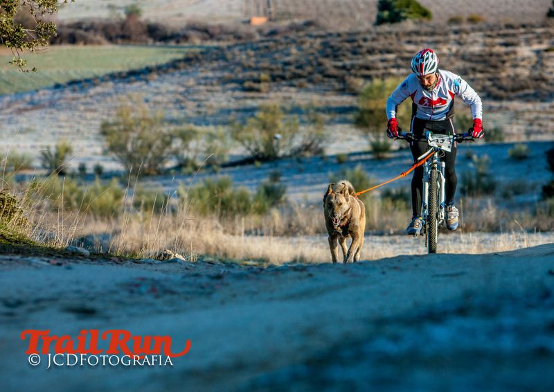Campeonato de España de Mushing 2017