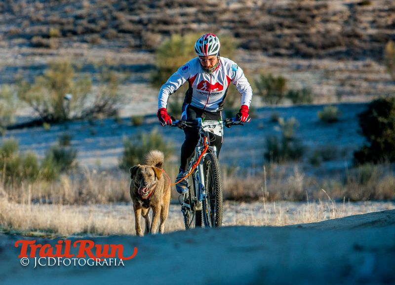 Campeonato de España de Mushing 2017