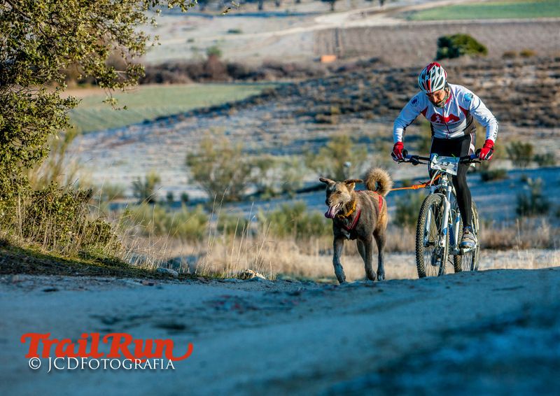 Campeonato de España de Mushing 2017