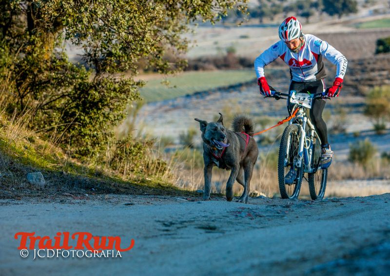 Campeonato de España de Mushing 2017