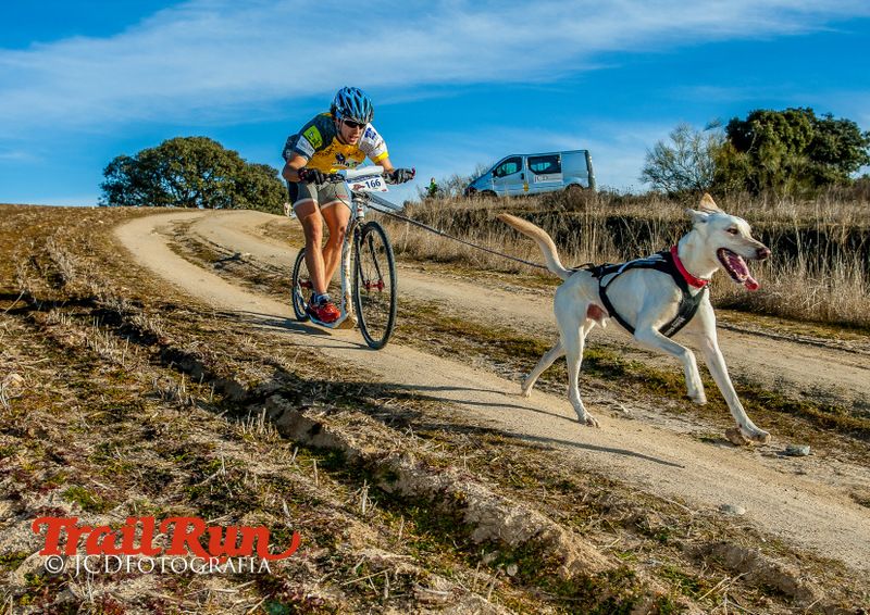 Campeonato de España de Mushing 2017