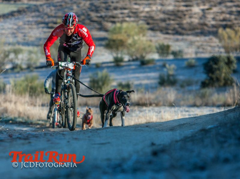 Campeonato de España de Mushing 2017