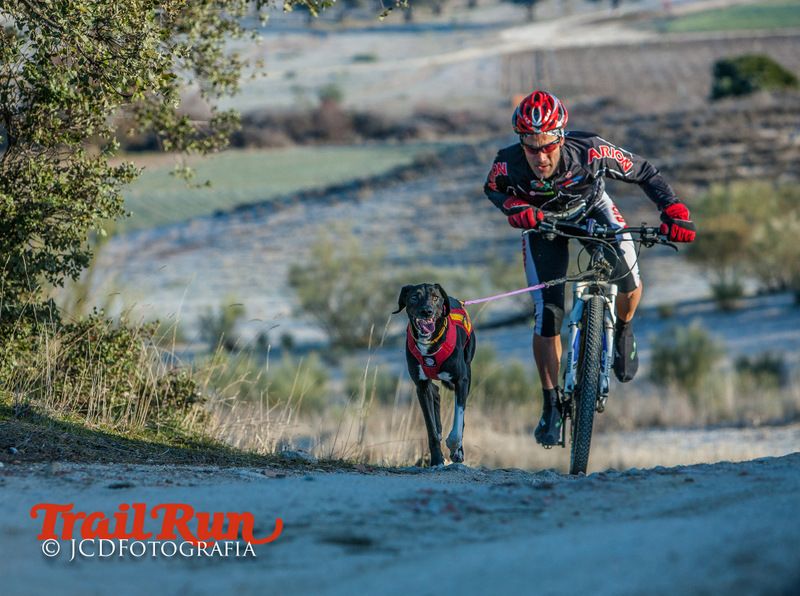 Campeonato de España de Mushing 2017