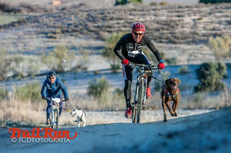 Campeonato de España de Mushing 2017