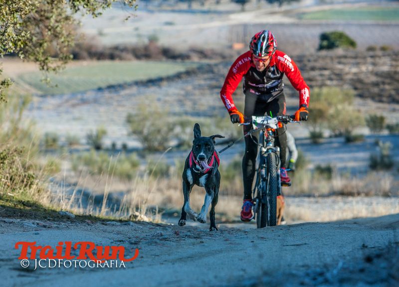 Campeonato de España de Mushing 2017
