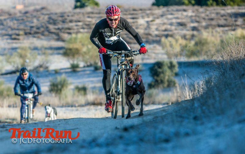 Campeonato de España de Mushing 2017