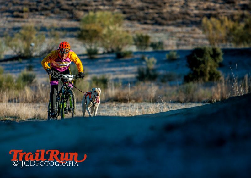 Campeonato de España de Mushing 2017
