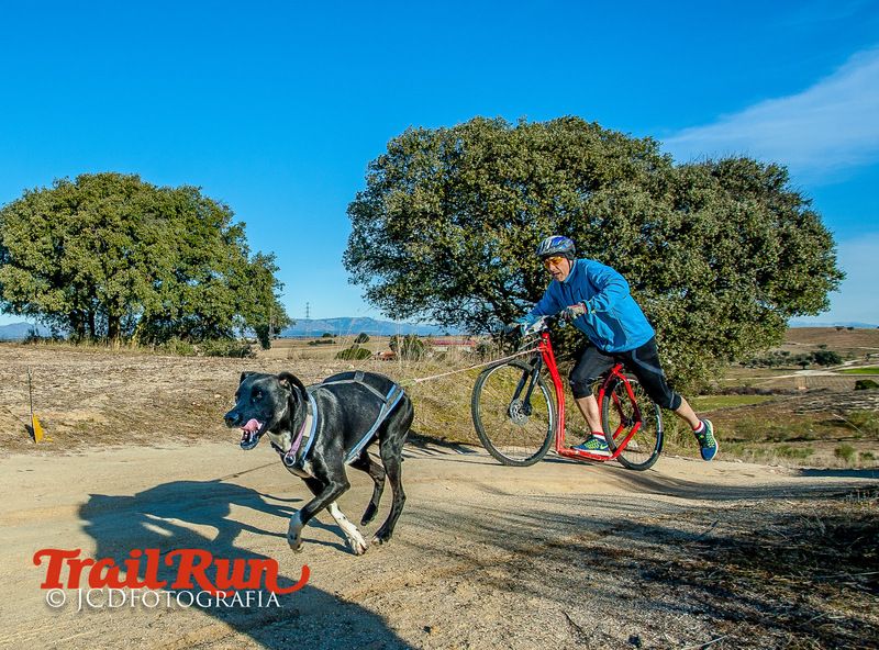 Campeonato de España de Mushing 2017