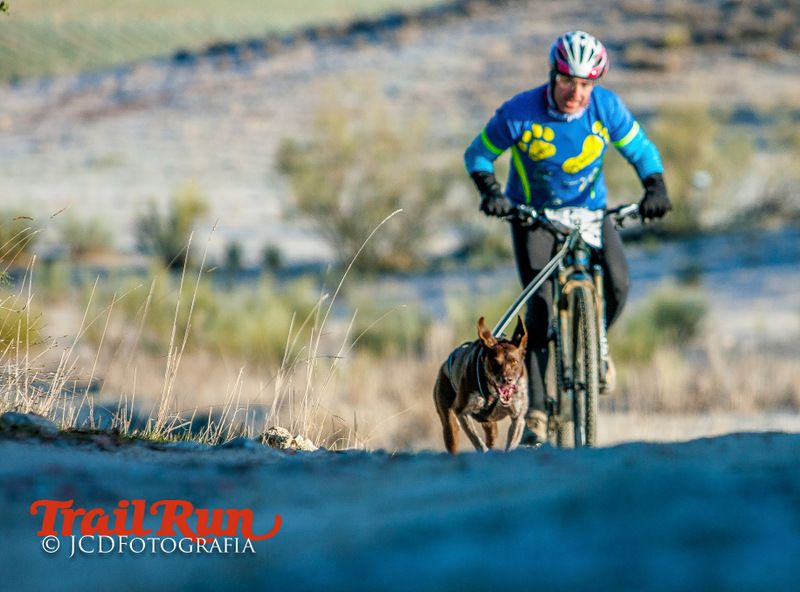 Campeonato de España de Mushing 2017