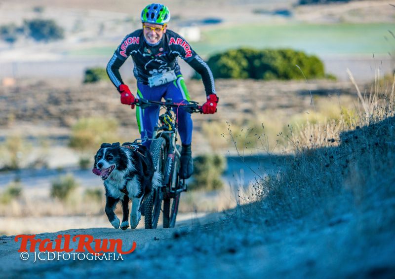 Campeonato de España de Mushing 2017