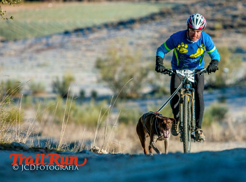 Campeonato de España de Mushing 2017