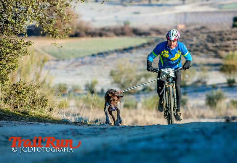 Campeonato de España de Mushing 2017