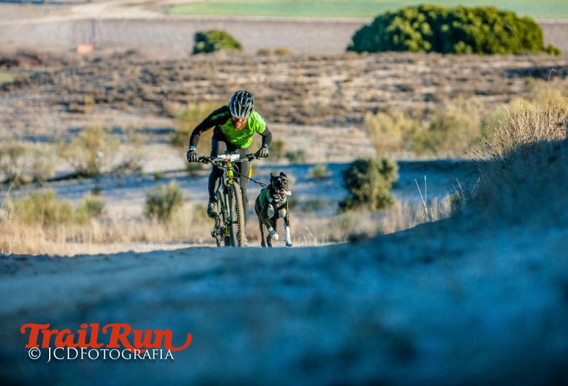 Campeonato de España de Mushing 2017