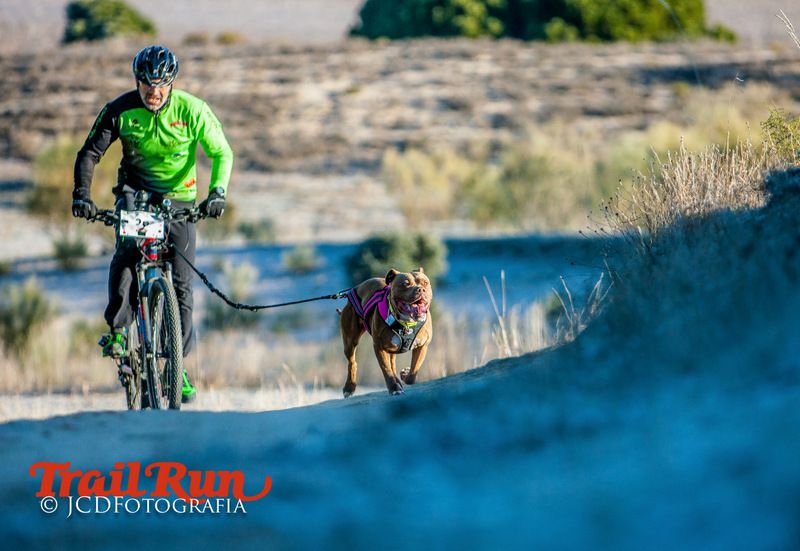 Campeonato de España de Mushing 2017