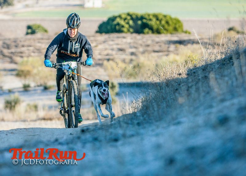 Campeonato de España de Mushing 2017