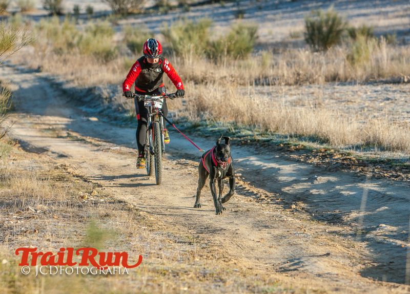 Campeonato de España de Mushing 2017