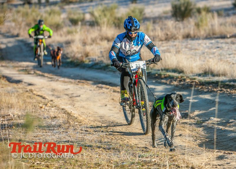 Campeonato de España de Mushing 2017