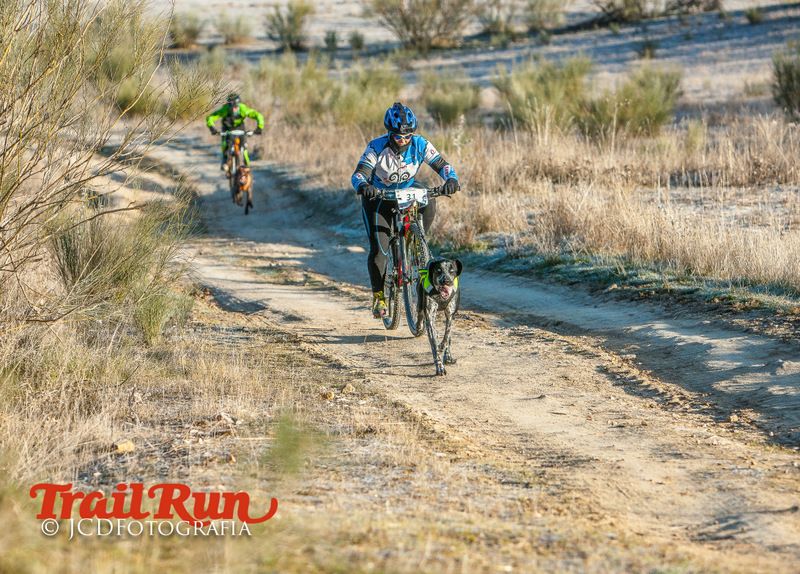 Campeonato de España de Mushing 2017