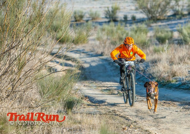 Campeonato de España de Mushing 2017