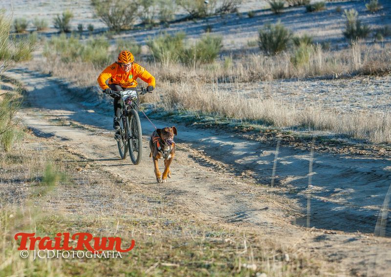 Campeonato de España de Mushing 2017