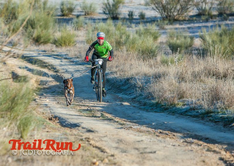 Campeonato de España de Mushing 2017
