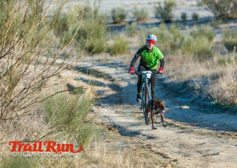 Campeonato de España de Mushing 2017