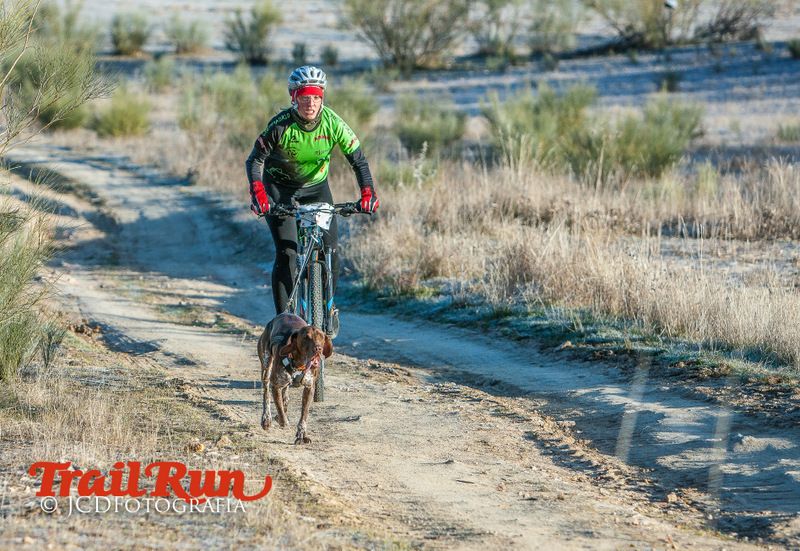 Campeonato de España de Mushing 2017